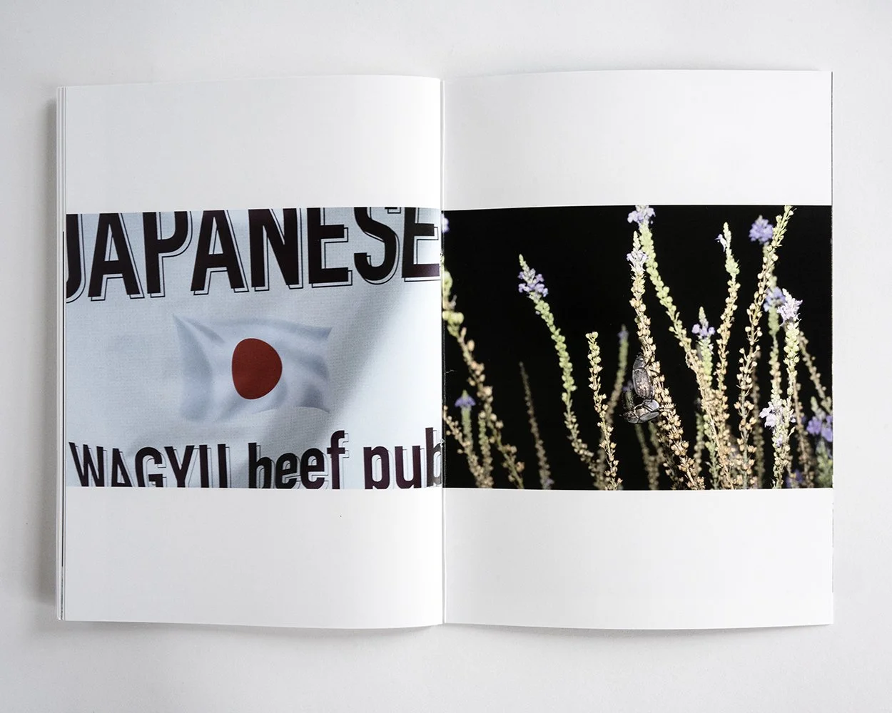 Luigi Ghirri Infinite Landscapes (First Edition) — bookdummypress